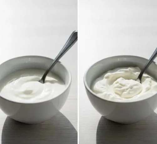 Texture comparison between regular yogurt and homemade Greek yogurt