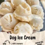 dog ice cream 2026 03 21 032223 1