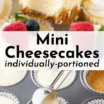mini cheesecakes 2026 03 18 173934 1