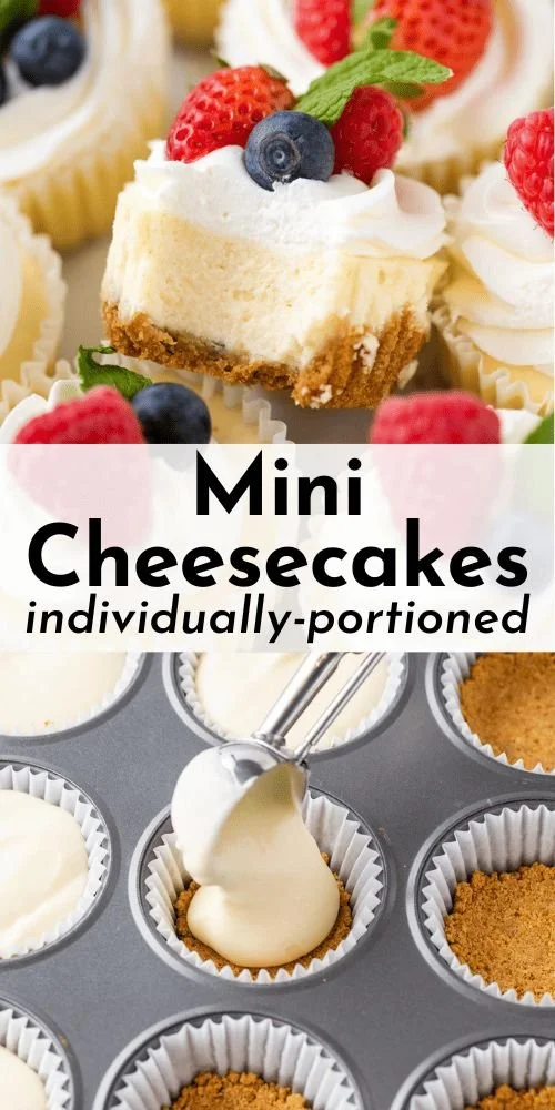 mini cheesecakes 2026 03 19 225917 1