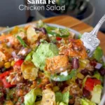 santa fe salad 2026 03 18 223550 576x1024 1